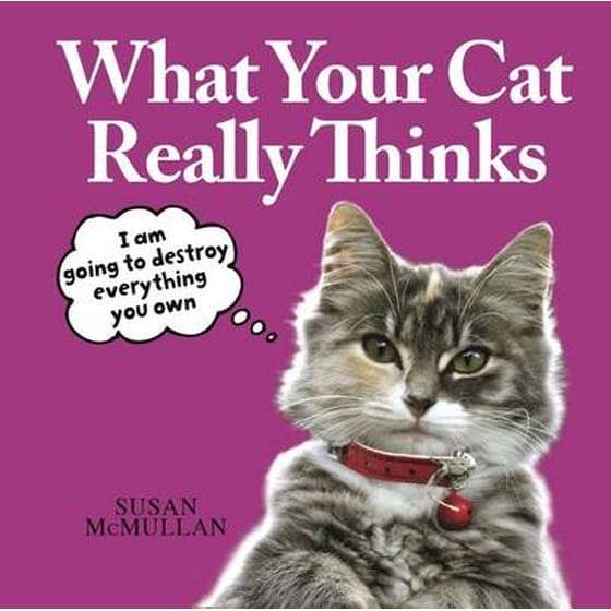 What Your Cat Really Thinks image 0