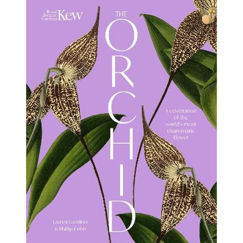 The Orchid