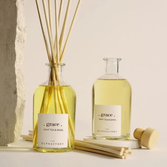 Diffuser Ambientair The Olphactory Mint Tea & Basil 100ml - Grace image 5