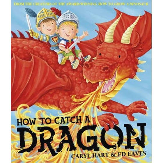 How To Catch a Dragon image 0