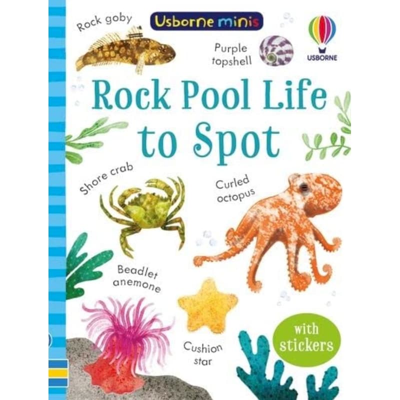 Rock Pool Life to Spot