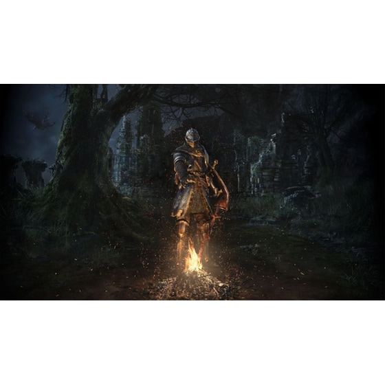 Dark Souls Remastered - PS4 image 3