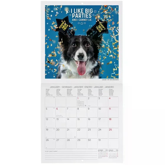 Ημερολόγιο Τοίχου Legami 2026 Supawstar 18x18cm image 1