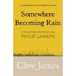 Somewhere Becoming Rain