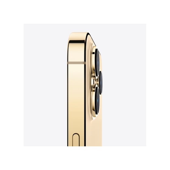 Apple iPhone 13 Pro Max 1TB Gold image 3