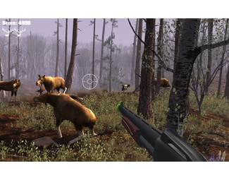 Big Buck Hunter Arcade - PS4 image 6