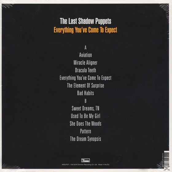 Everything You've Come To Expect (Lp+Mp3) image 3