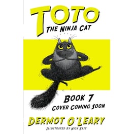 Toto the Ninja Cat and the Football Fiasco