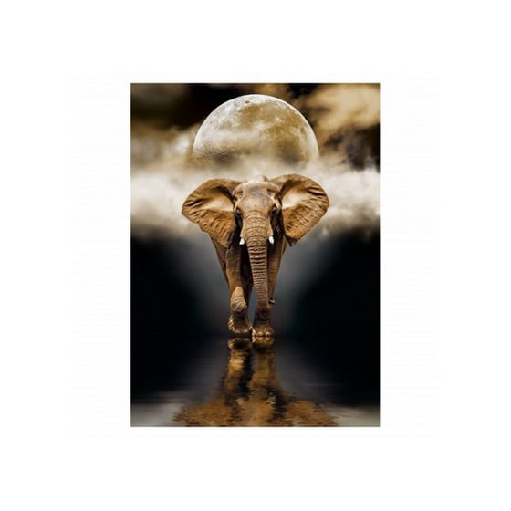 Παζλ Clementoni The Elephant (1000 Κομμάτια) image 1