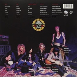 Appetite For Destruction (LP)