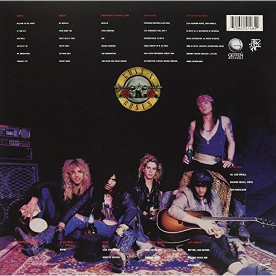 Appetite For Destruction (LP) image 0
