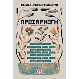 Προσαρμογή