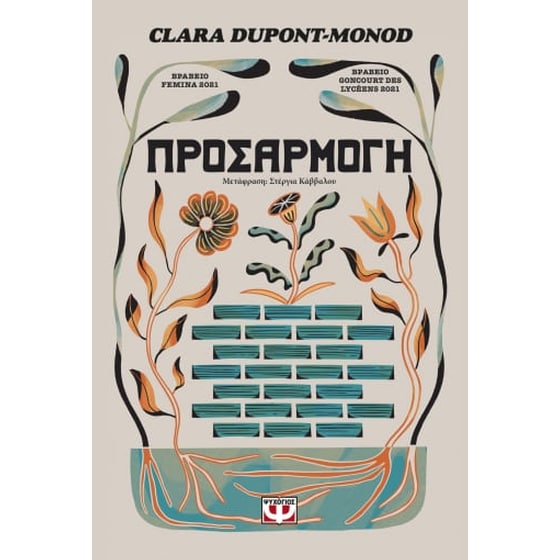 Προσαρμογή image 0