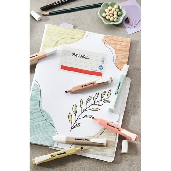 Μαρκαδόρος Υπογράμμισης Stabilo Swing Deskset Pastel & Nature (18 Τεμάχια) image 3