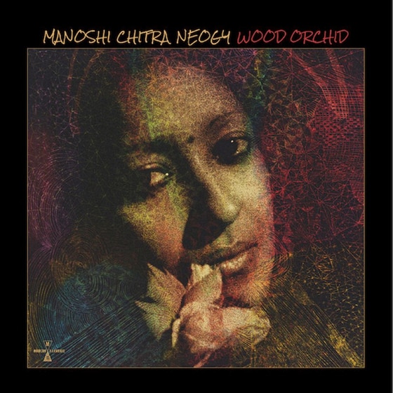 Wood Orchid image 0