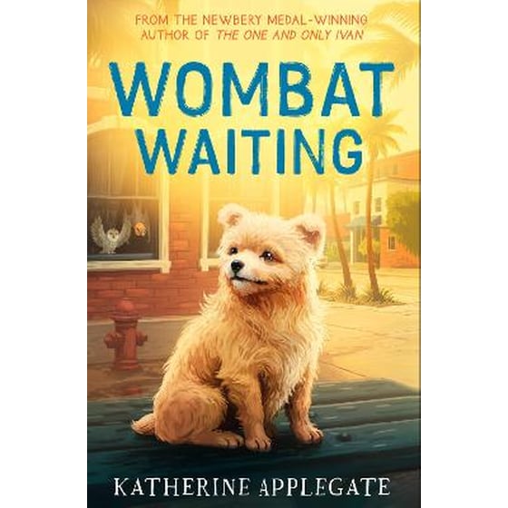Wombat Waiting image 0