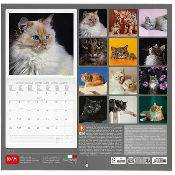Ημερολόγιο Τοίχου Legami 2026 Cats 30x29cm image 2