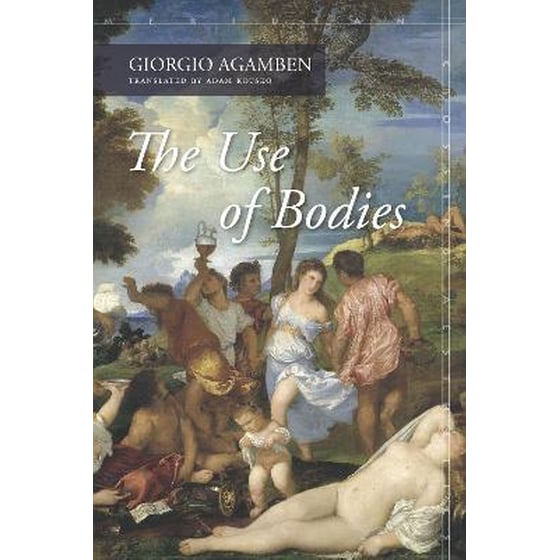 The Use of Bodies image 0