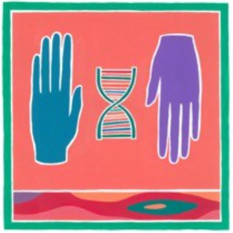 Me Redesenho (Limited 2lp)