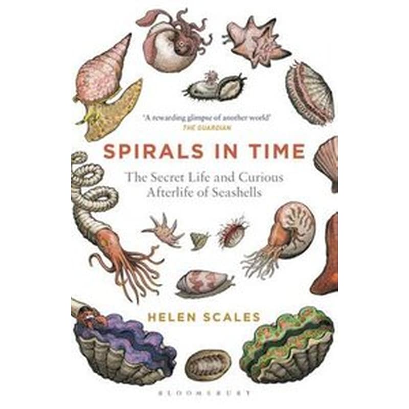 Spirals in Time