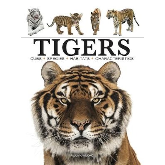 Tigers image 0