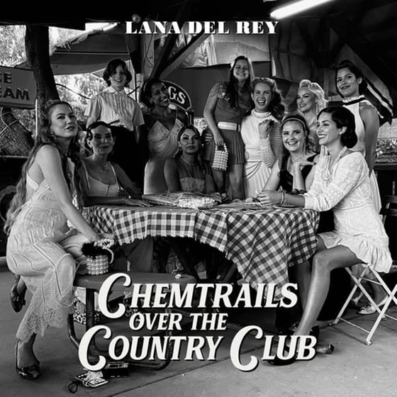 Chemtrails Over The Country Club (Lp) image 2