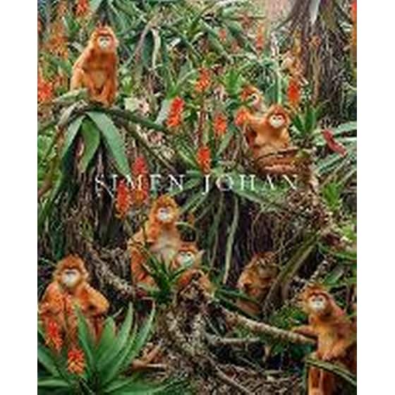 Simen Johan image 0