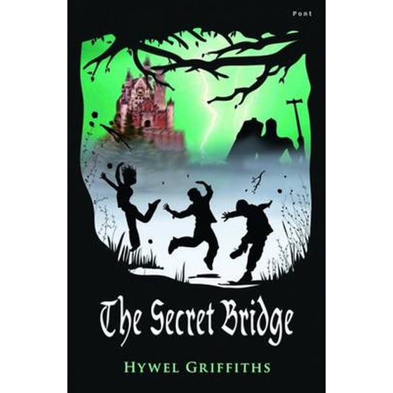 The Secret Bridge, The image 0