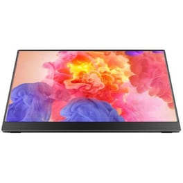 Arzopa A1M 17.3'' FHD IPS Flat 60Hz