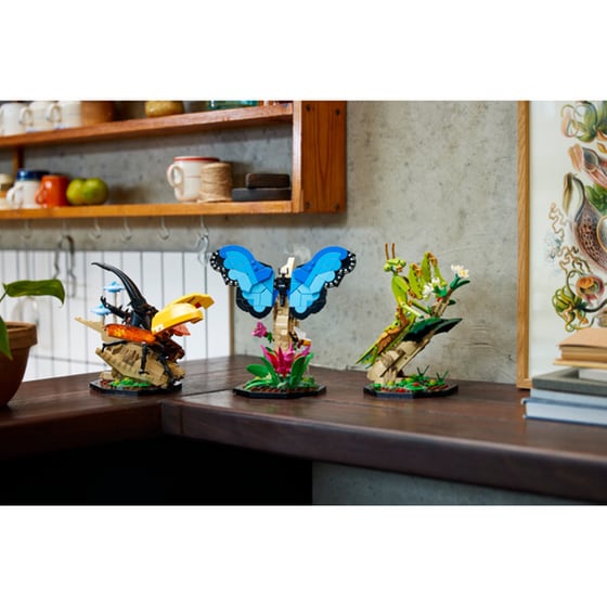 LEGO®Ideas The Insect Collection (21342) image 1