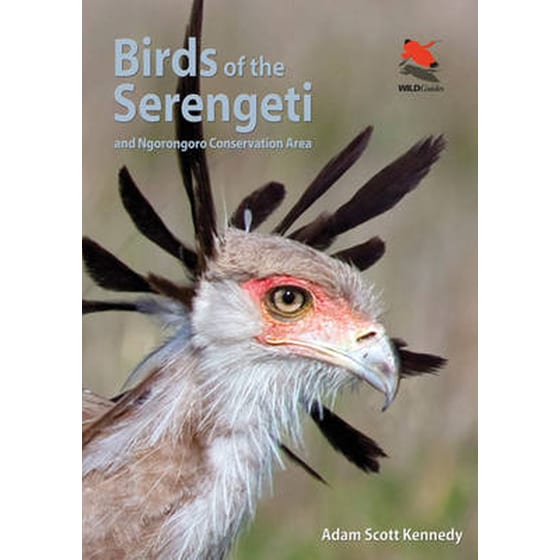 Birds of the Serengeti image 0