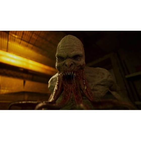 S.T.A.L.K.E.R. 2: Heart Of Chornobyl - Day One Edition - PS5 image 4