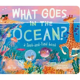 What Goes in the Ocean?