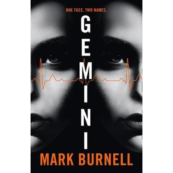 Gemini image 0