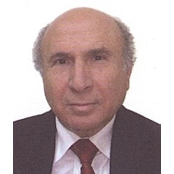 Εγχειρίδιον ελεγκτικών προσεγγίσεων image 1