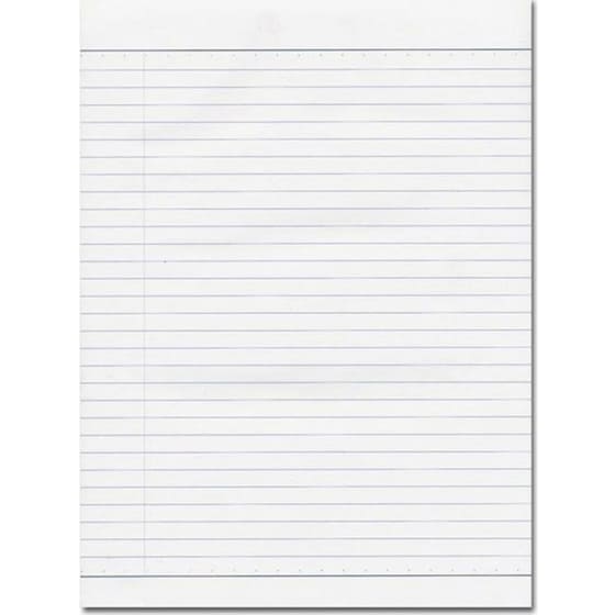 Ανταλλακτικά Φύλλα Έκθεσης NEXT Α4 Διπλά Φύλλα (1 Τεμάχιο) image 0