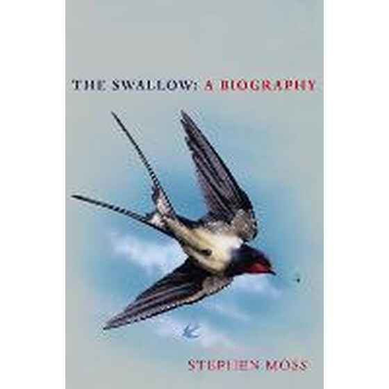 Swallow image 0