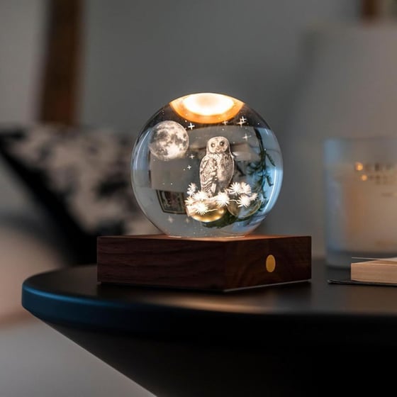 Διακοσμητικό&nbsp;Gingko Crystal&nbsp;Light&nbsp;3D&nbsp;The&nbsp;Owl&nbsp;Moon image 3