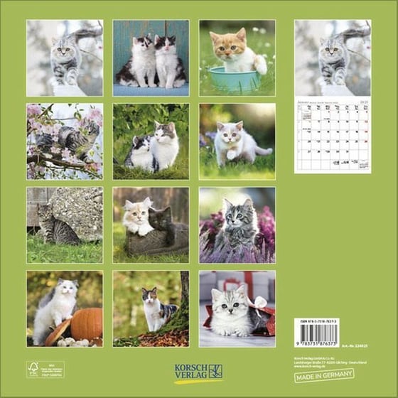 Ημερολόγιο Τοίχου 2025 Cats image 11