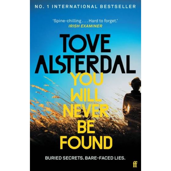 You Will Never Be Found image 0