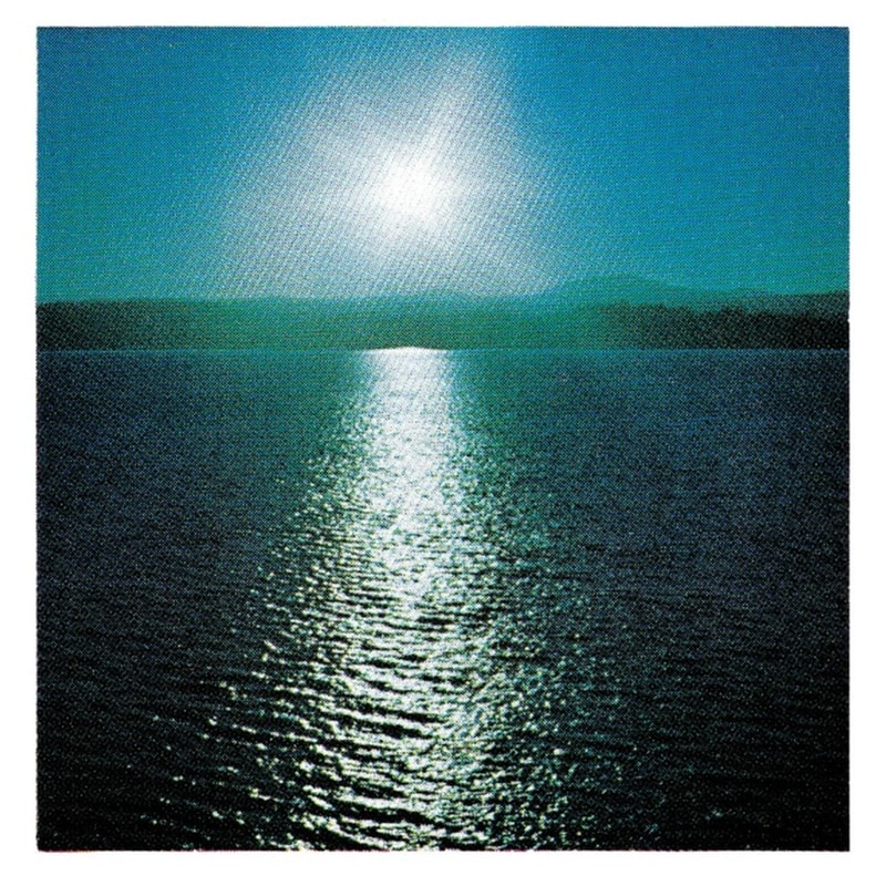 The Space Between (LimitedWhite Vinyl)