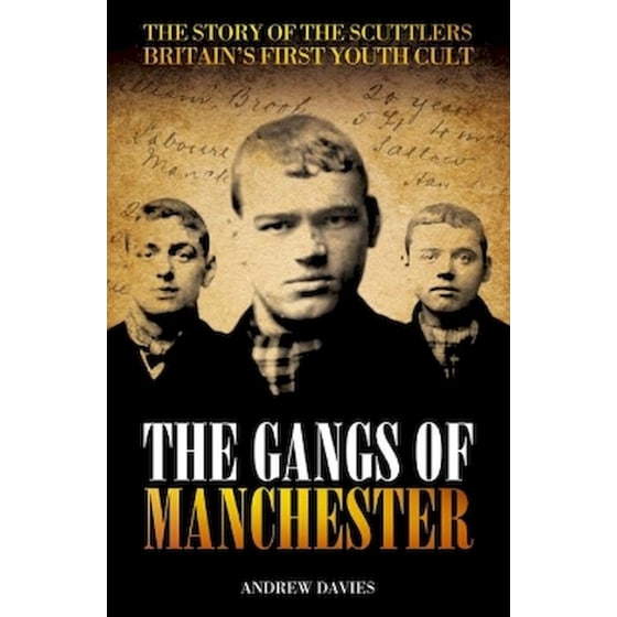 The Gangs Of Manchester image 0