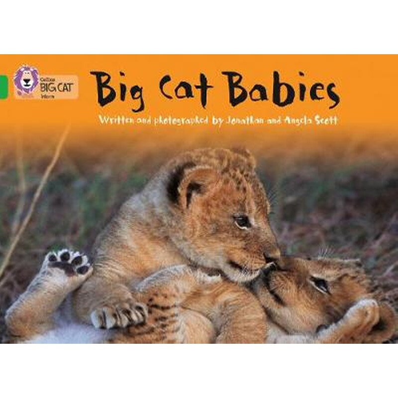 Big Cat Babies 0968268