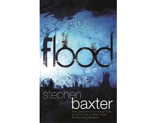 Flood image 1