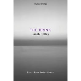 The Brink