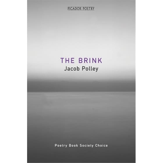 The Brink image 0