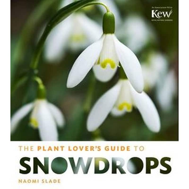 Plant Lovers Guide to Snowdrops