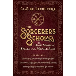 The Sorcerer's Scholar