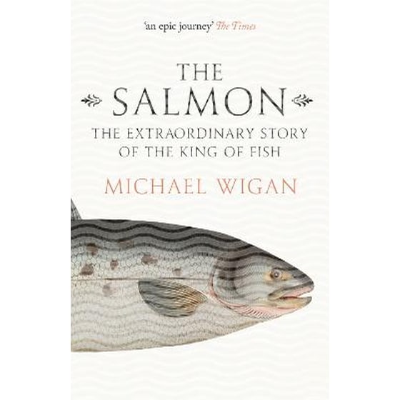 Salmon image 0