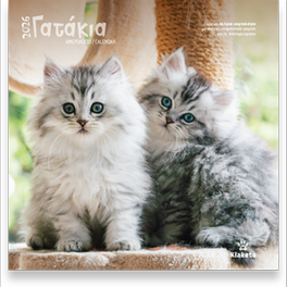 Ημερολόγιο Τοίχου&nbsp;Klaketa 2026 Γατάκια 30x30cm